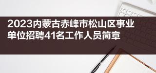 2023内蒙古赤峰市松山区事业单位招聘41名工作人员简章